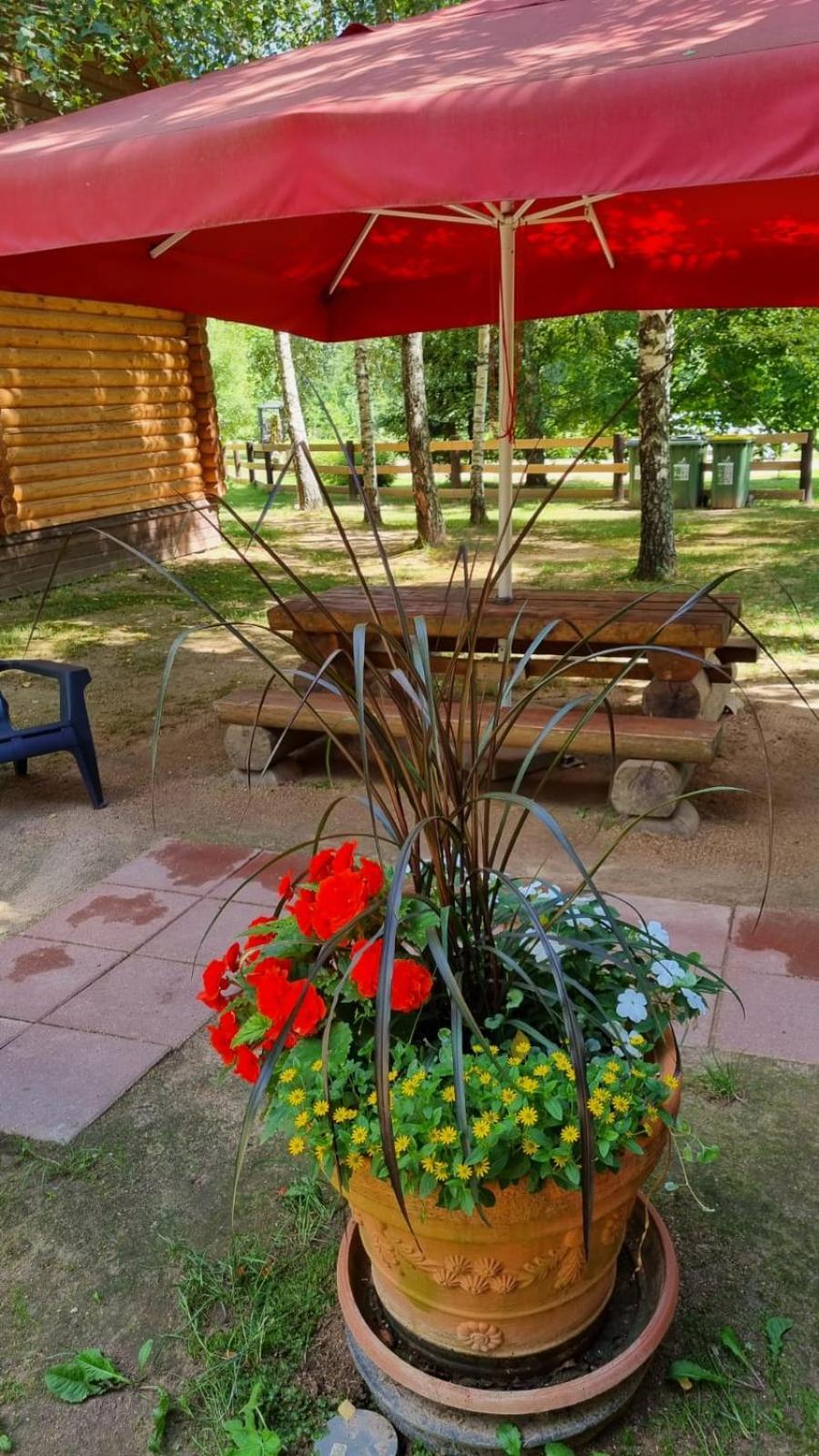 Camping Oskalns Cesis Bagian luar foto